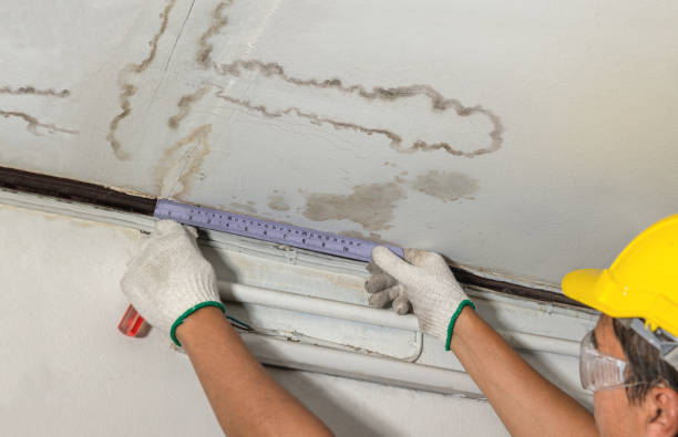 Reliable Mold Remediation contractor in Northville, MI by Local Water Damage Repair
